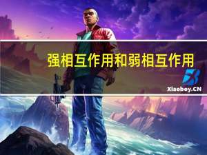 强相互作用和弱相互作用