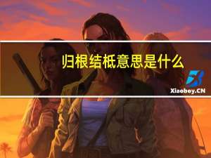 归根结柢意思是什么