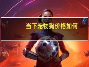 当下宠物狗价格如何