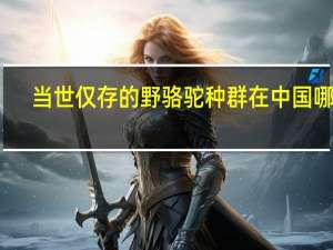 当世仅存的野骆驼种群在中国哪里