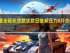 当代置业延长贷款还款日缓解压力 8月合同销售下滑