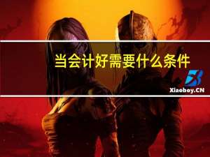 当会计好需要什么条件