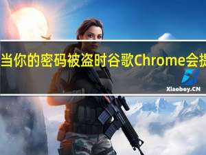 当你的密码被盗时 谷歌Chrome会提醒你