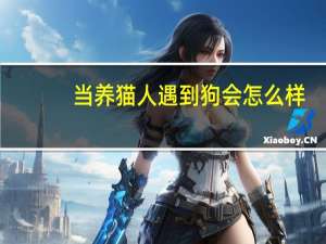 当养猫人遇到狗会怎么样