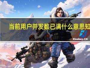当前用户并发数已满什么意思知网（当前用户并发数已满是什么意思）