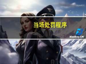 当场处罚程序