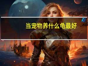 当宠物养什么龟最好