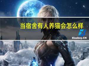 当宿舍有人养猫会怎么样