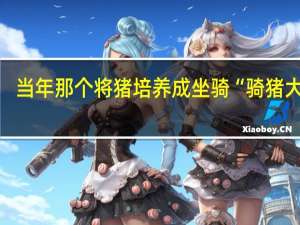 当年那个将猪培养成坐骑“骑猪大爷”，如今怎样了