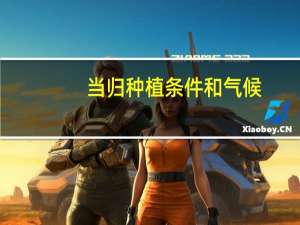 当归种植条件和气候