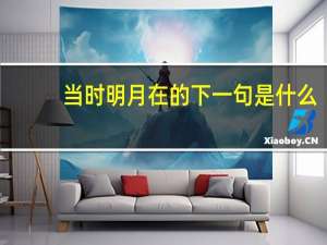 当时明月在的下一句是什么