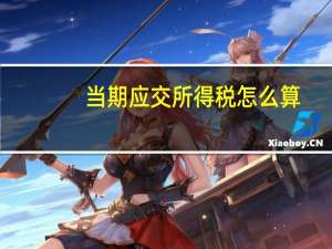 当期应交所得税怎么算