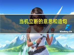当机立断的意思和造句（当机立断的意思）