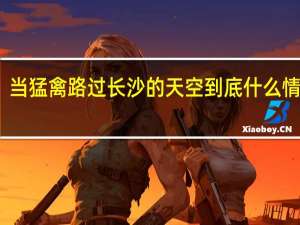 当猛禽路过长沙的天空 到底什么情况嘞