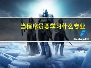当程序员要学习什么专业