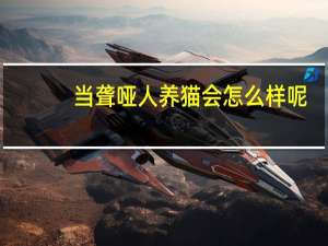 当聋哑人养猫会怎么样呢