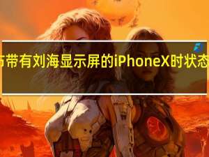 当苹果发布带有刘海显示屏的iPhone X时状态栏的空间非常小