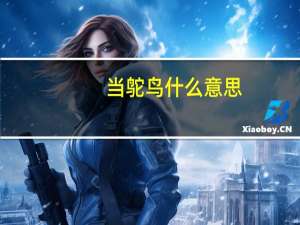 当鸵鸟什么意思