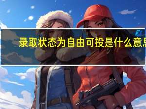 录取状态为自由可投是什么意思