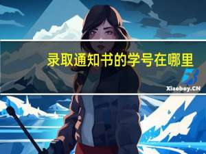 录取通知书的学号在哪里
