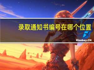 录取通知书编号在哪个位置