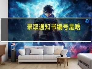 录取通知书编号是啥