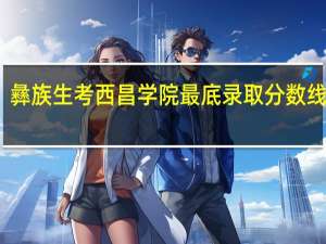 彝族生考西昌学院最底录取分数线多少
