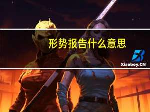 形势报告什么意思