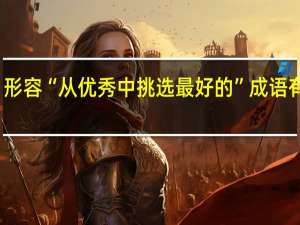 形容“从优秀中挑选最好的”成语有哪些