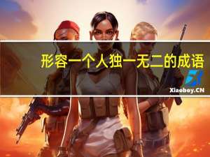 形容一个人独一无二的成语