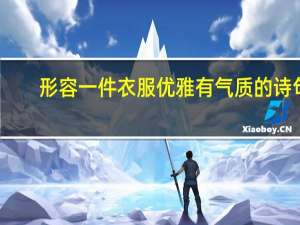 形容一件衣服优雅有气质的诗句