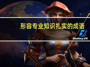 形容专业知识扎实的成语
