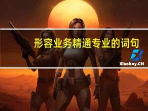 形容业务精通专业的词句