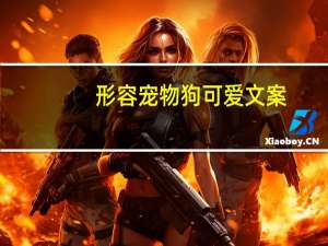 形容宠物狗可爱文案