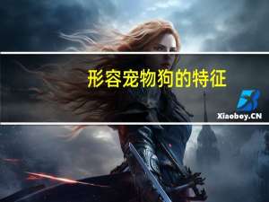 形容宠物狗的特征