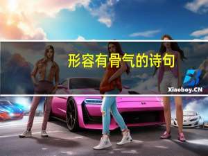 形容有骨气的诗句