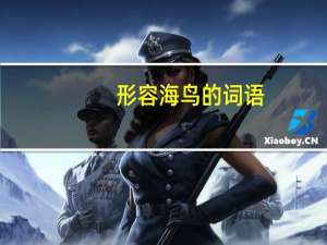 形容海鸟的词语