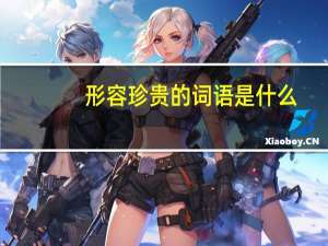 形容珍贵的词语是什么