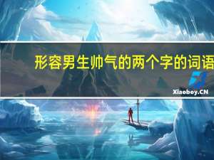 形容男生帅气的两个字的词语