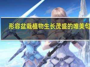 形容盆栽植物生长茂盛的唯美句子