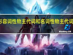 形容词性物主代词和名词性物主代词的区别
