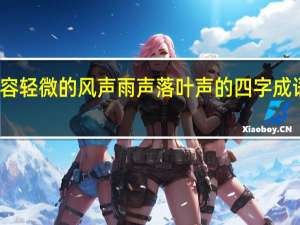 形容轻微的风声雨声落叶声的四字成语有哪些