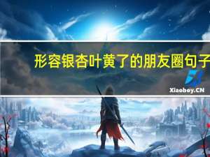 形容银杏叶黄了的朋友圈句子（形容银杏叶黄的词语）