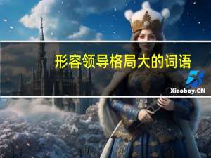 形容领导格局大的词语