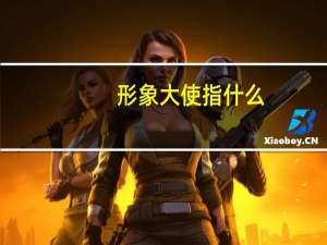 形象大使指什么
