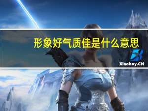 形象好气质佳是什么意思