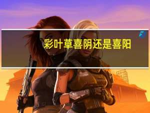 彩叶草喜阴还是喜阳