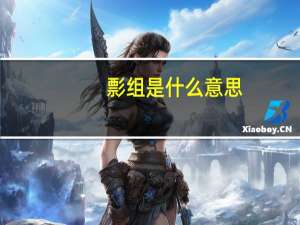 彯组是什么意思
