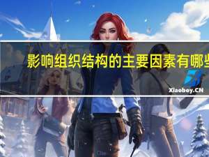 影响组织结构的主要因素有哪些
