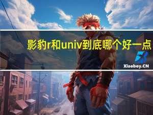 影豹r和univ到底哪个好一点